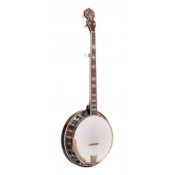 Banjo Bluegrass à 5 cordes...