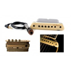 L.R. Baggs M1A Micro magnétique actif pour guitare acoustique