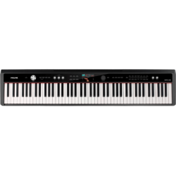 Piano numérique NPK-20...